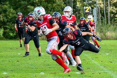 Hyld mestrene